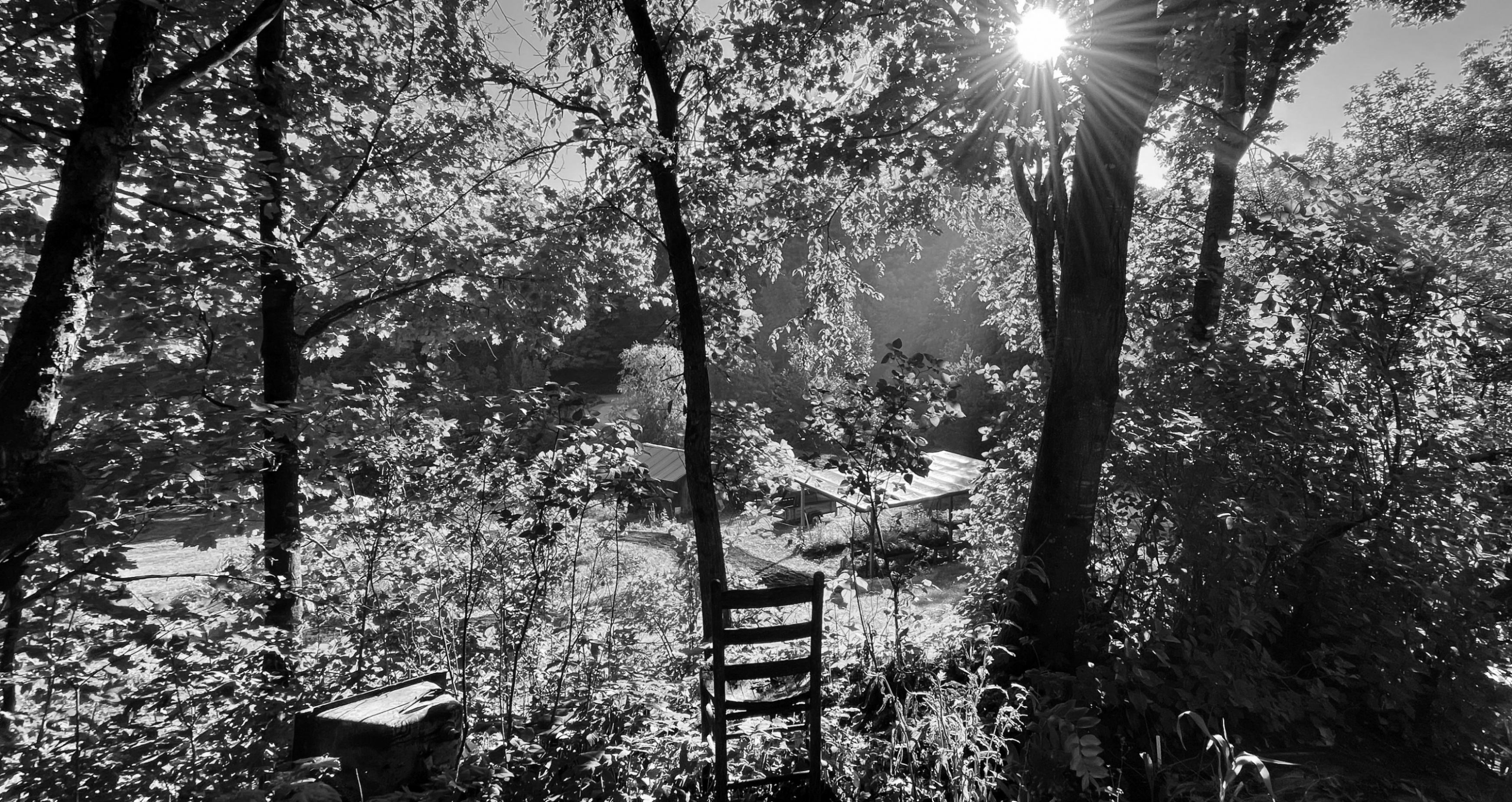  black and white winter landscape photo